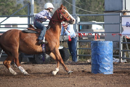 GeoSnapShot | Find photos from Branxton Rodeo | GeoSnapShot
